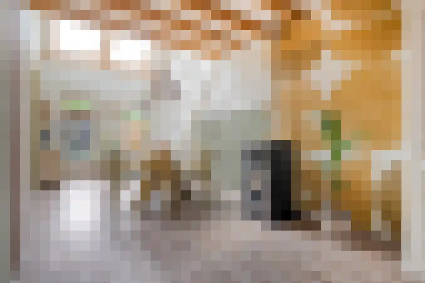 Burg.van Haersoltestraat 9 Nieuwleusen thumbnail 15