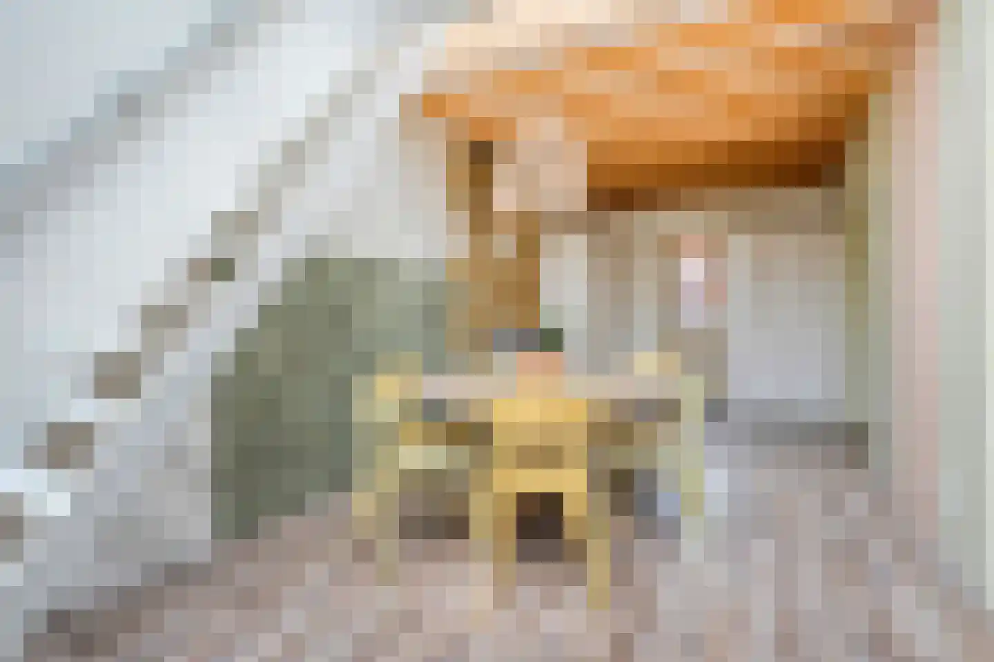 Burg.van Haersoltestraat 9 Nieuwleusen thumbnail 16