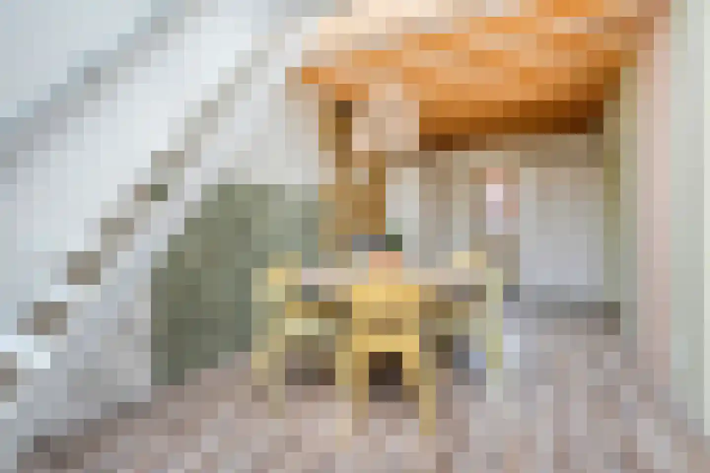 Burg.van Haersoltestraat 9 Nieuwleusen thumbnail 16