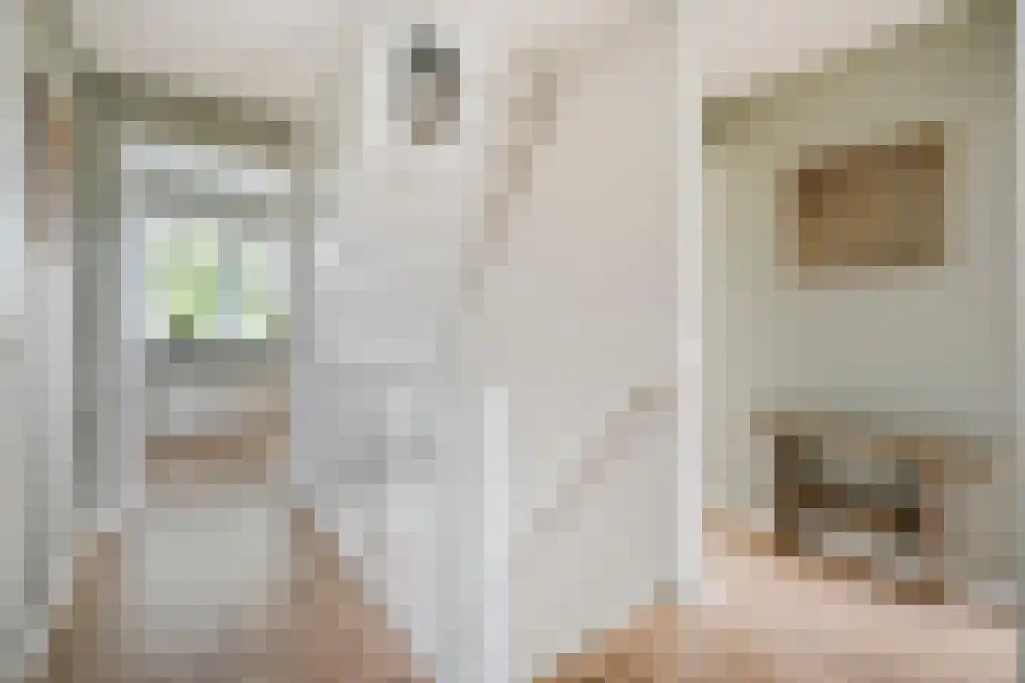 Burg.van Haersoltestraat 9 Nieuwleusen thumbnail 19