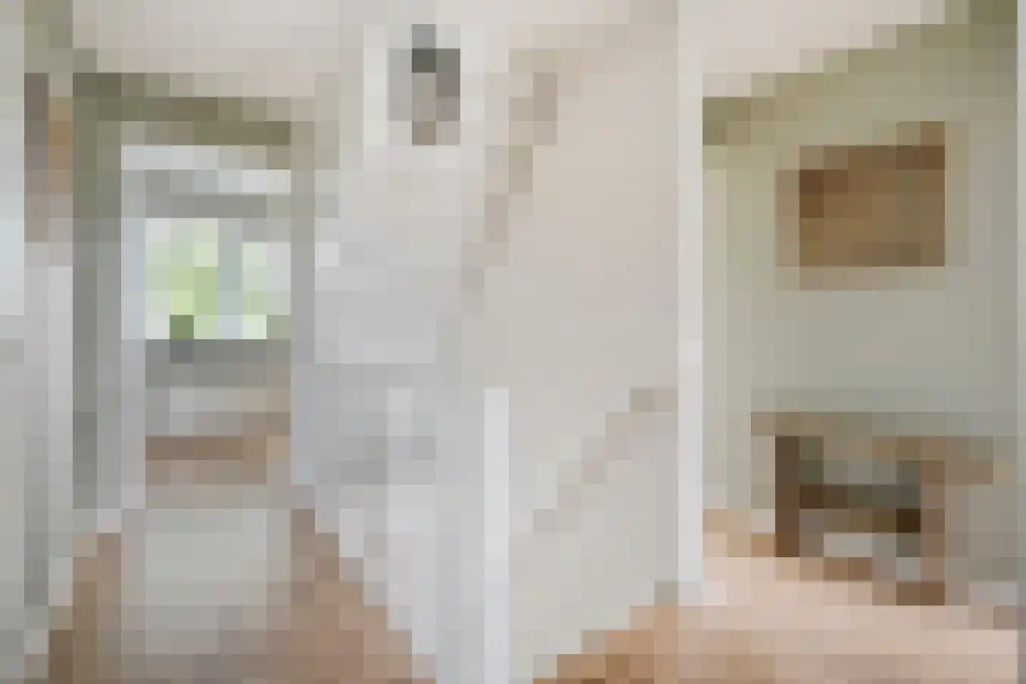 Burg.van Haersoltestraat 9 Nieuwleusen thumbnail 19