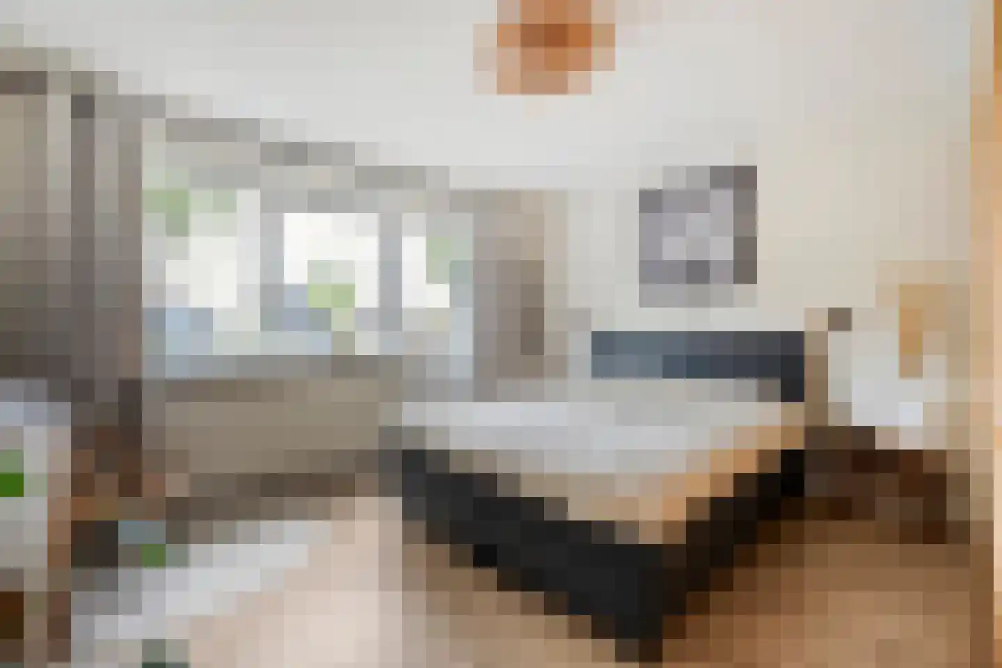 Burg.van Haersoltestraat 9 Nieuwleusen thumbnail 21