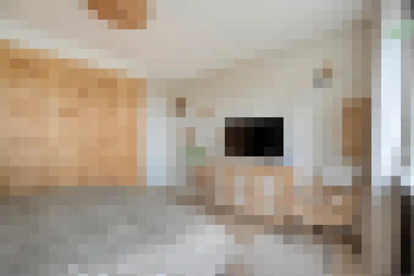 Burg.van Haersoltestraat 9 Nieuwleusen thumbnail 22