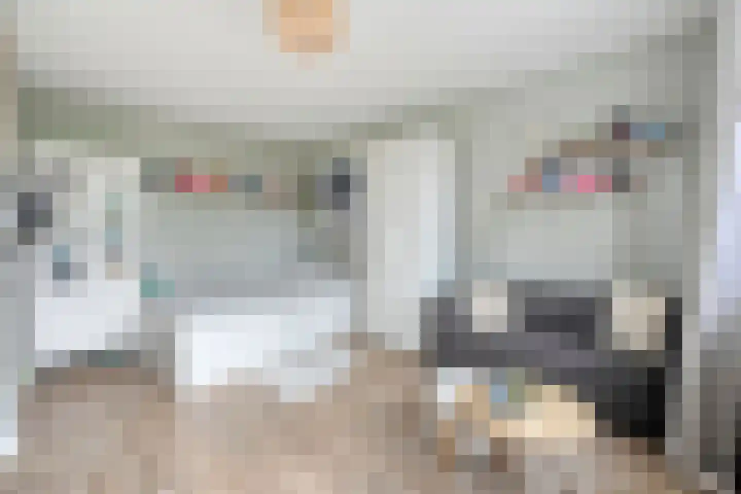 Burg.van Haersoltestraat 9 Nieuwleusen thumbnail 23