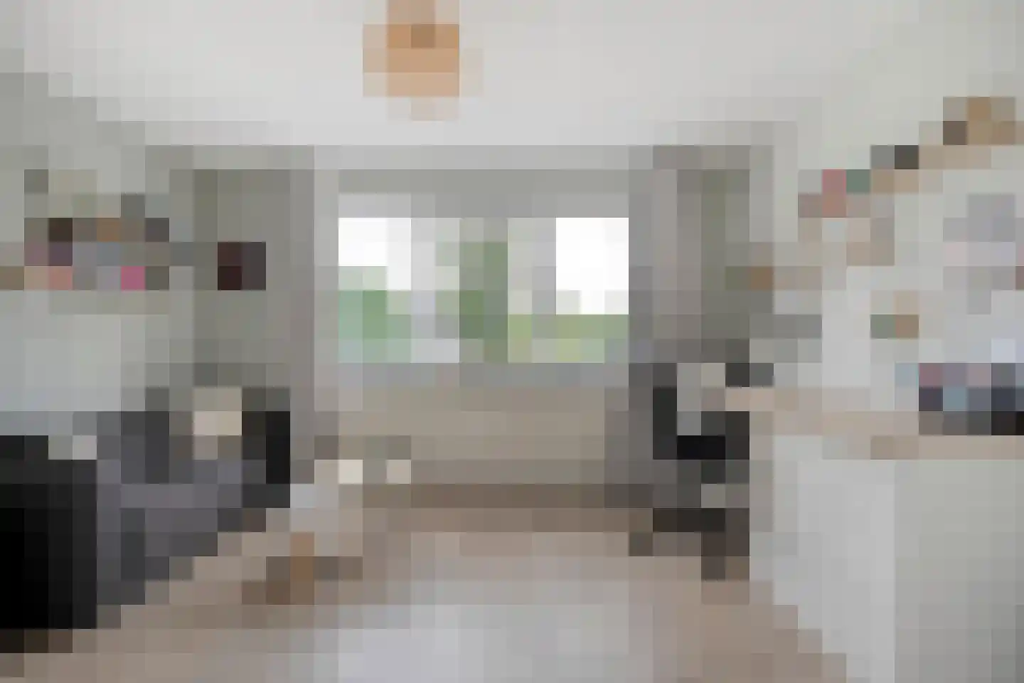 Burg.van Haersoltestraat 9 Nieuwleusen thumbnail 24