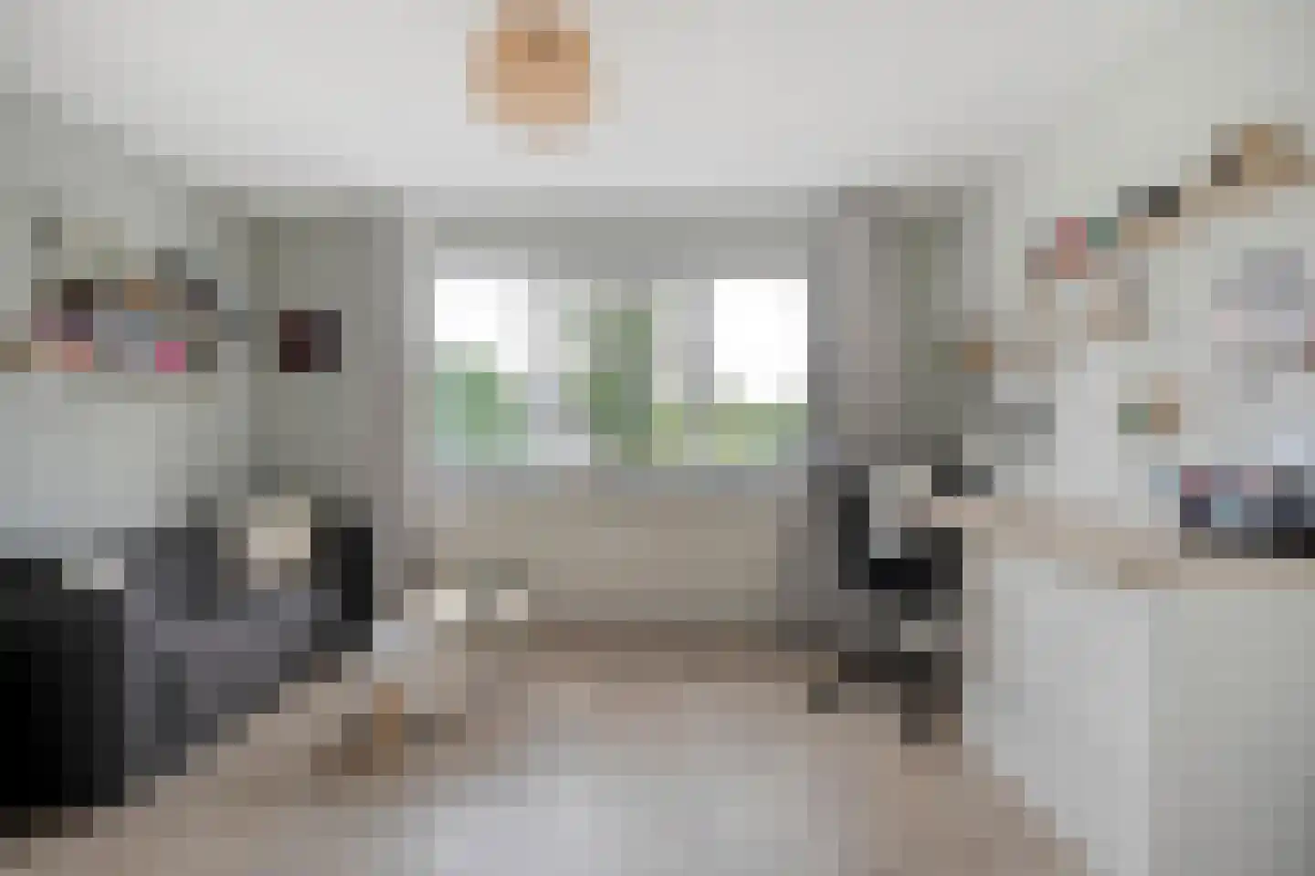 Burg.van Haersoltestraat 9 Nieuwleusen thumbnail 24