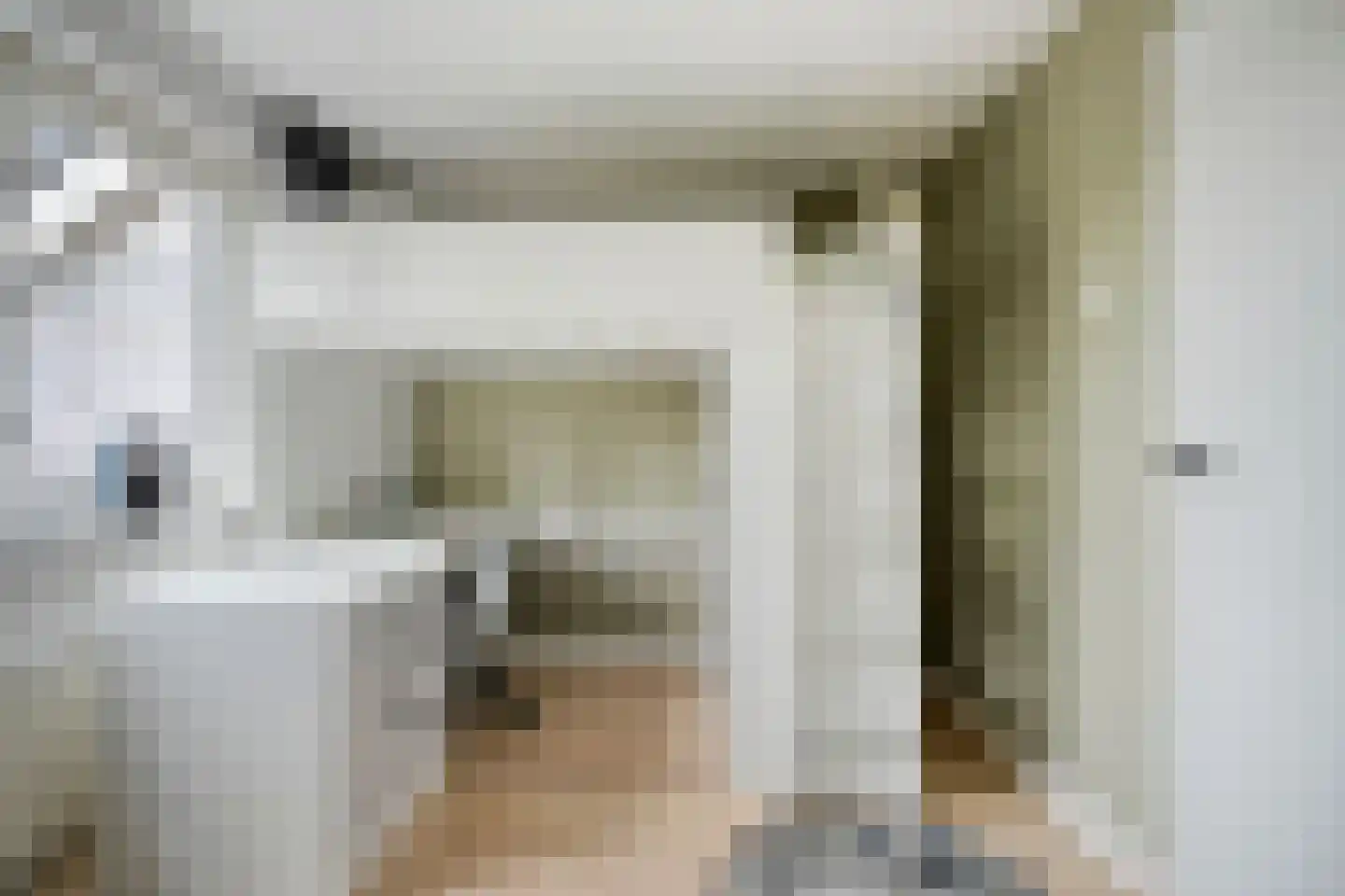 Burg.van Haersoltestraat 9 Nieuwleusen thumbnail 25