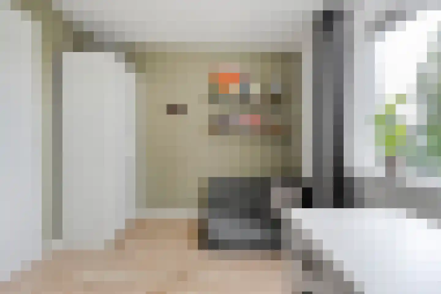 Burg.van Haersoltestraat 9 Nieuwleusen thumbnail 26