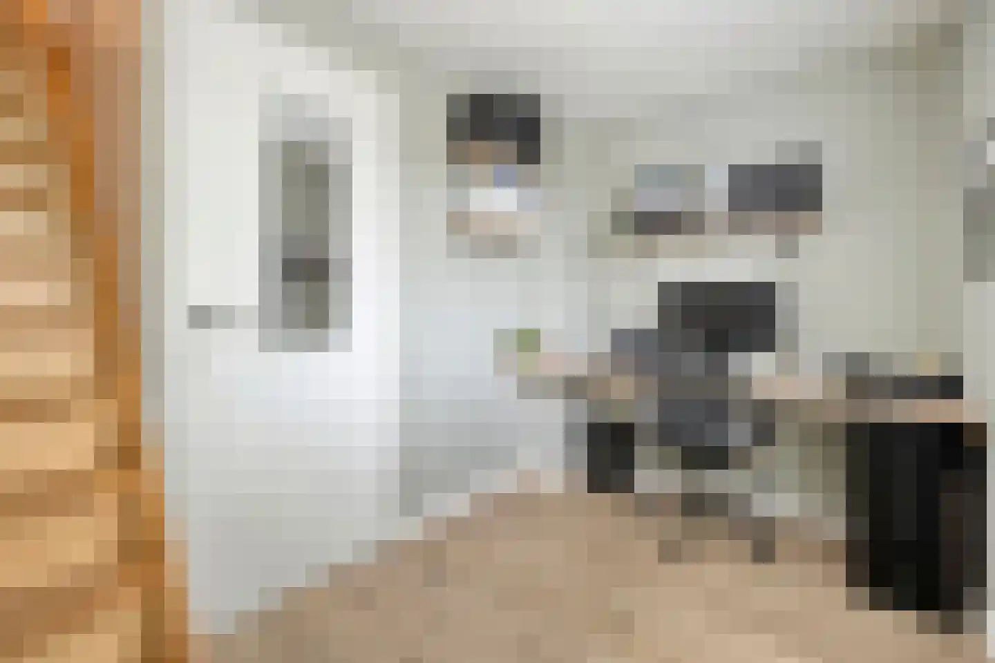 Burg.van Haersoltestraat 9 Nieuwleusen thumbnail 29