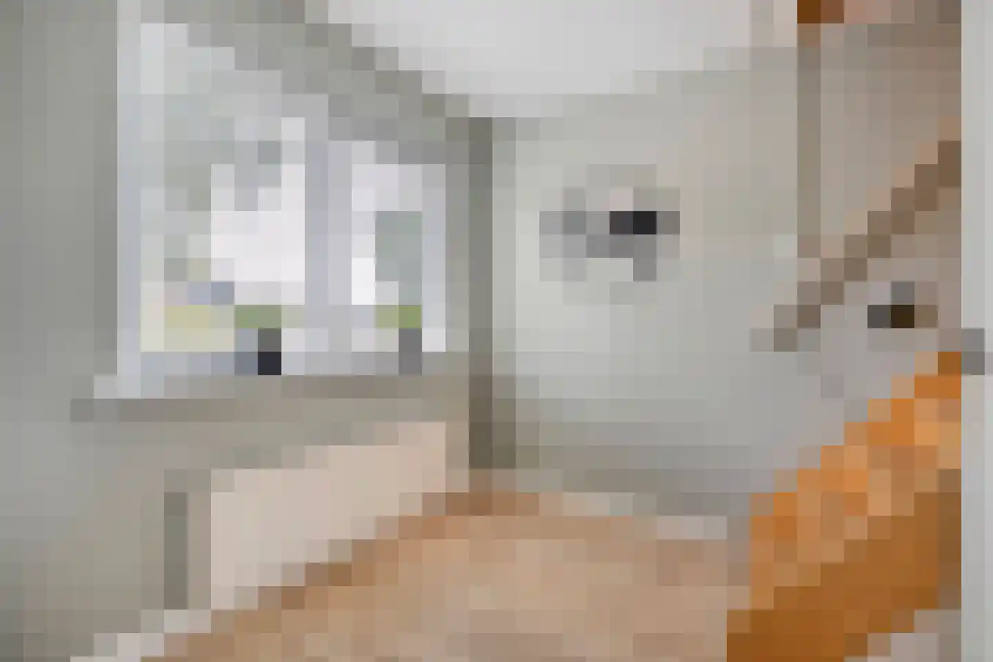 Burg.van Haersoltestraat 9 Nieuwleusen thumbnail 30