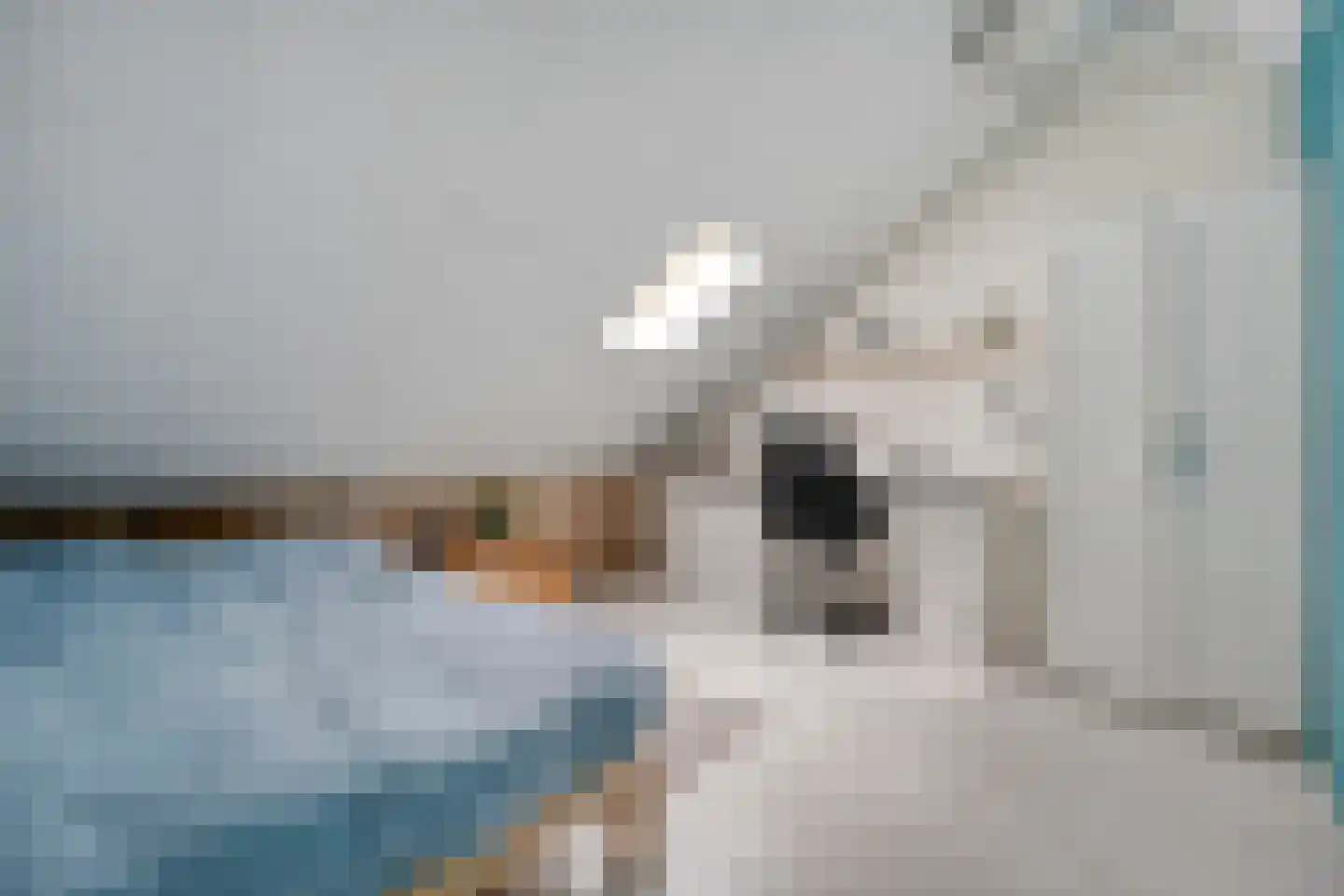 Burg.van Haersoltestraat 9 Nieuwleusen thumbnail 34