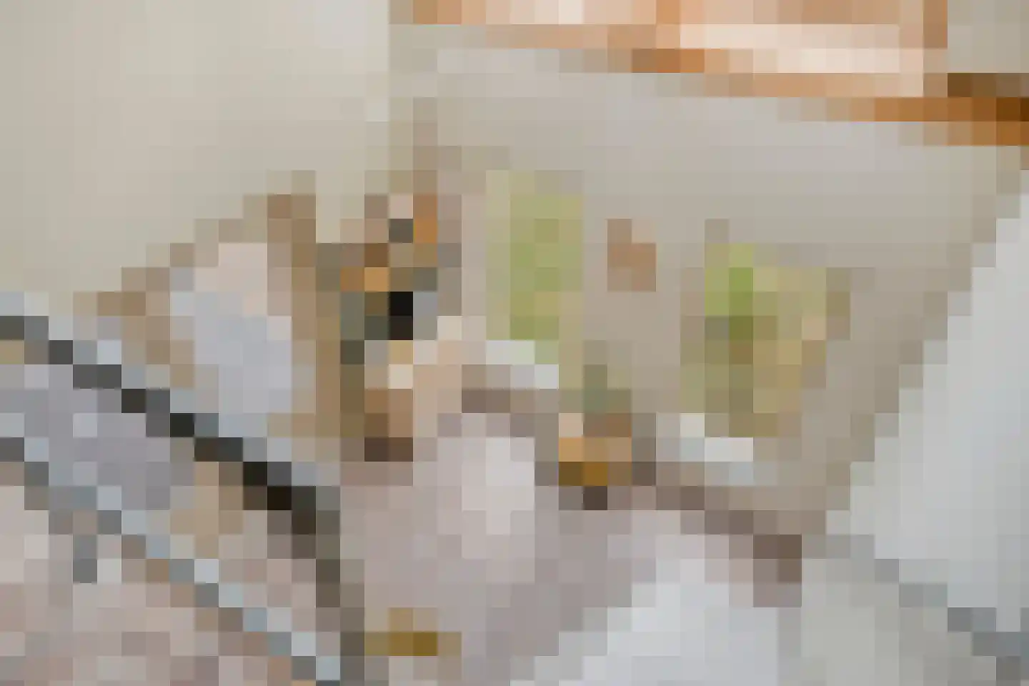 Burg.van Haersoltestraat 9 Nieuwleusen thumbnail 36
