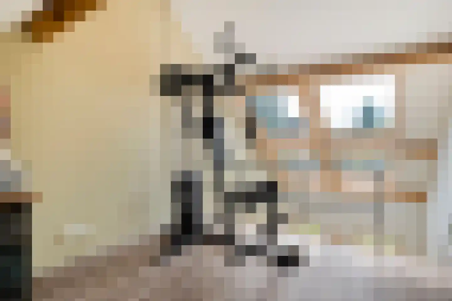Burg.van Haersoltestraat 9 Nieuwleusen thumbnail 37