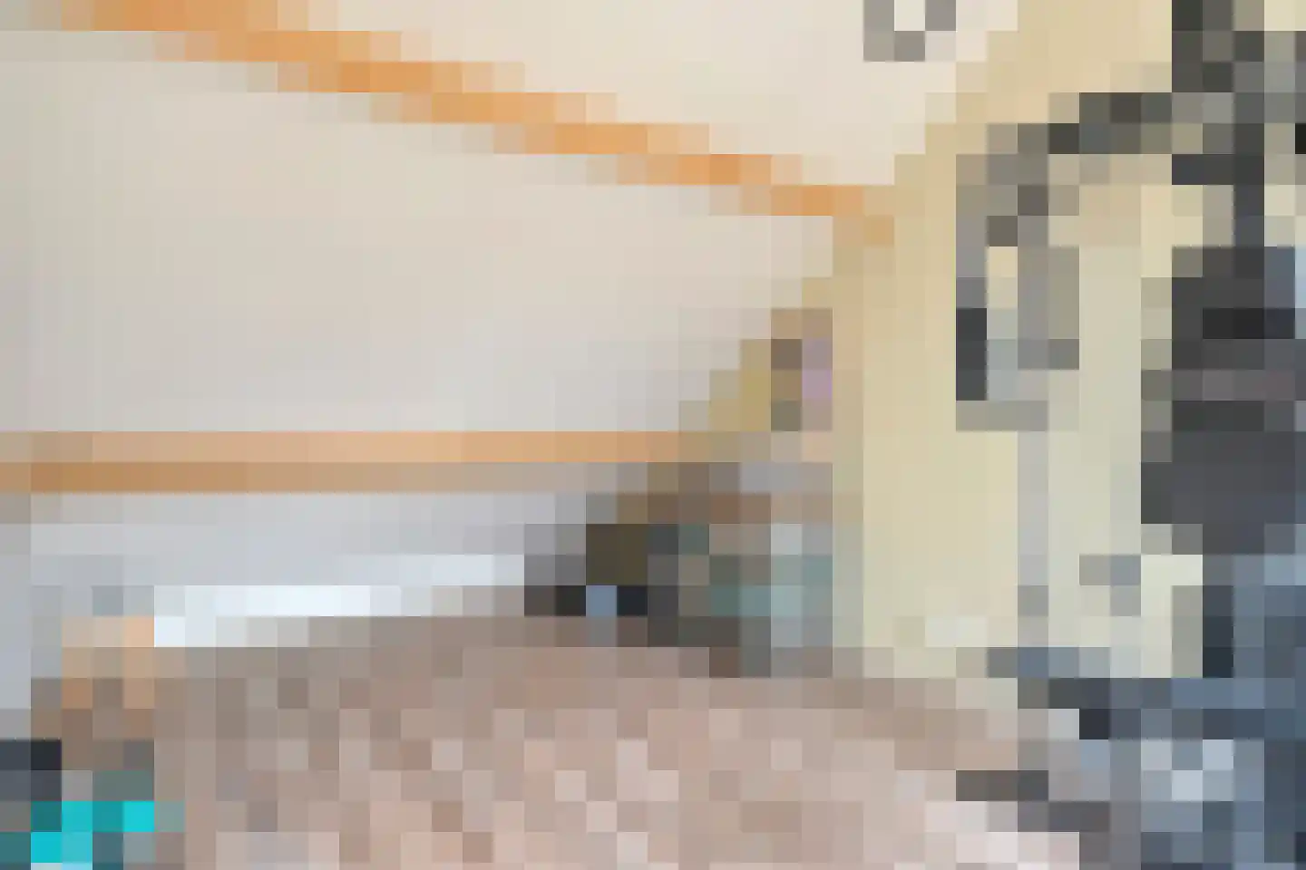 Burg.van Haersoltestraat 9 Nieuwleusen thumbnail 38