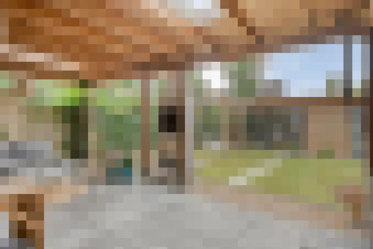 Burg.van Haersoltestraat 9 Nieuwleusen thumbnail 41