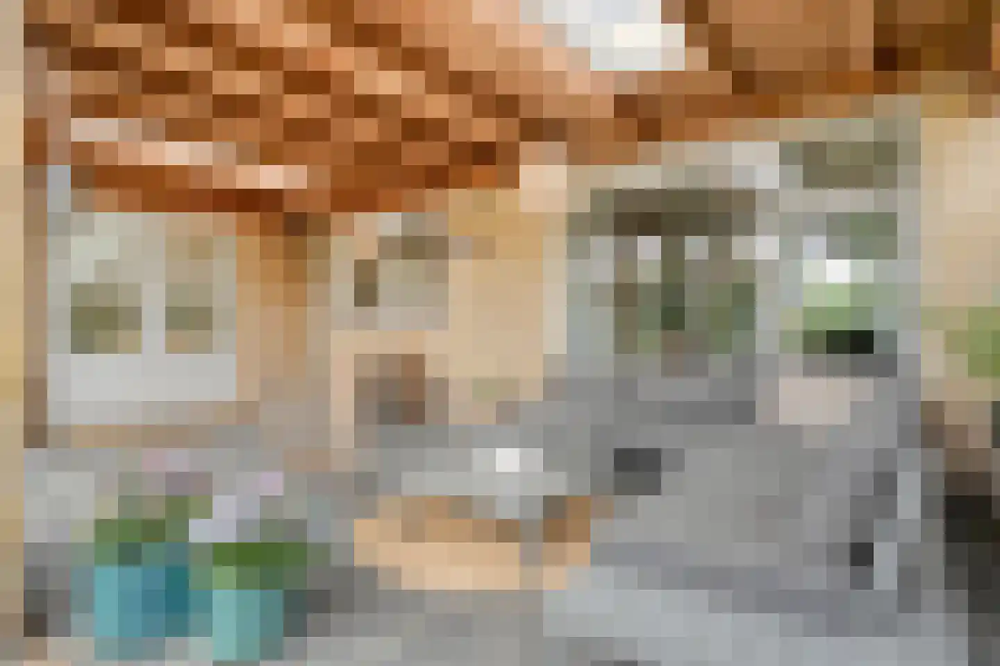 Burg.van Haersoltestraat 9 Nieuwleusen thumbnail 42