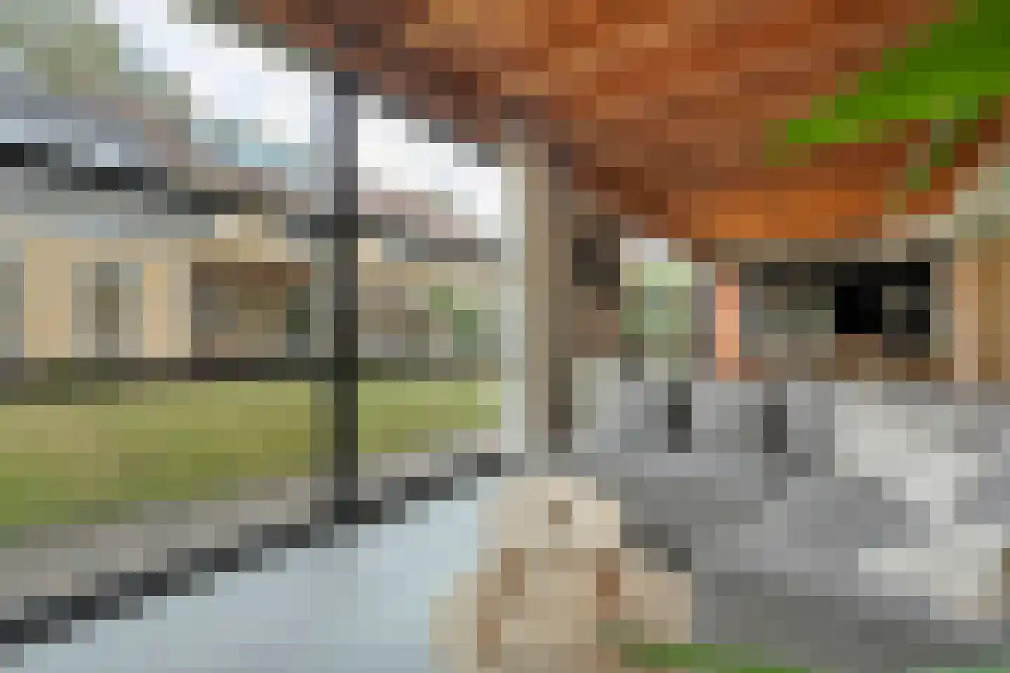 Burg.van Haersoltestraat 9 Nieuwleusen thumbnail 44