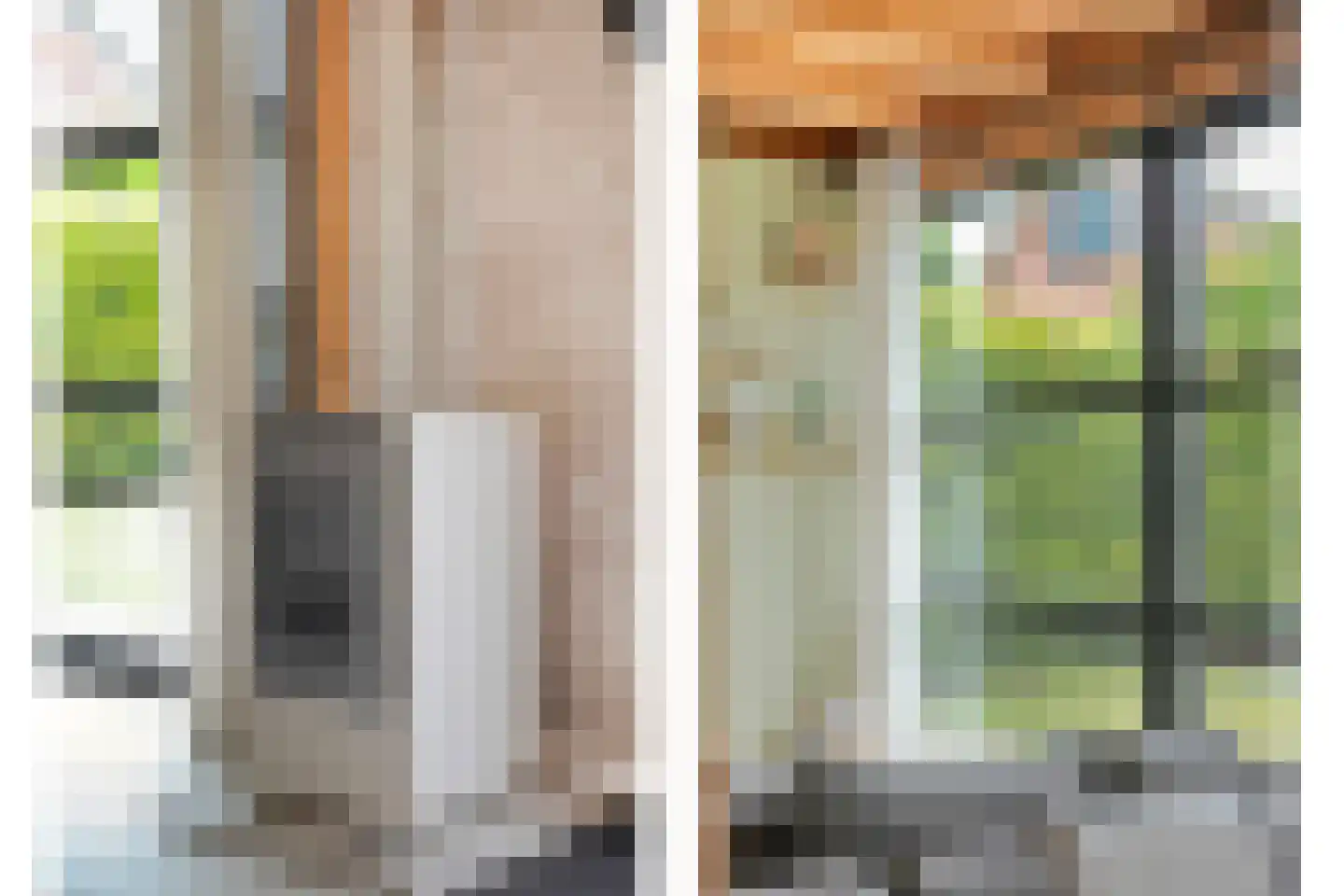 Burg.van Haersoltestraat 9 Nieuwleusen thumbnail 47
