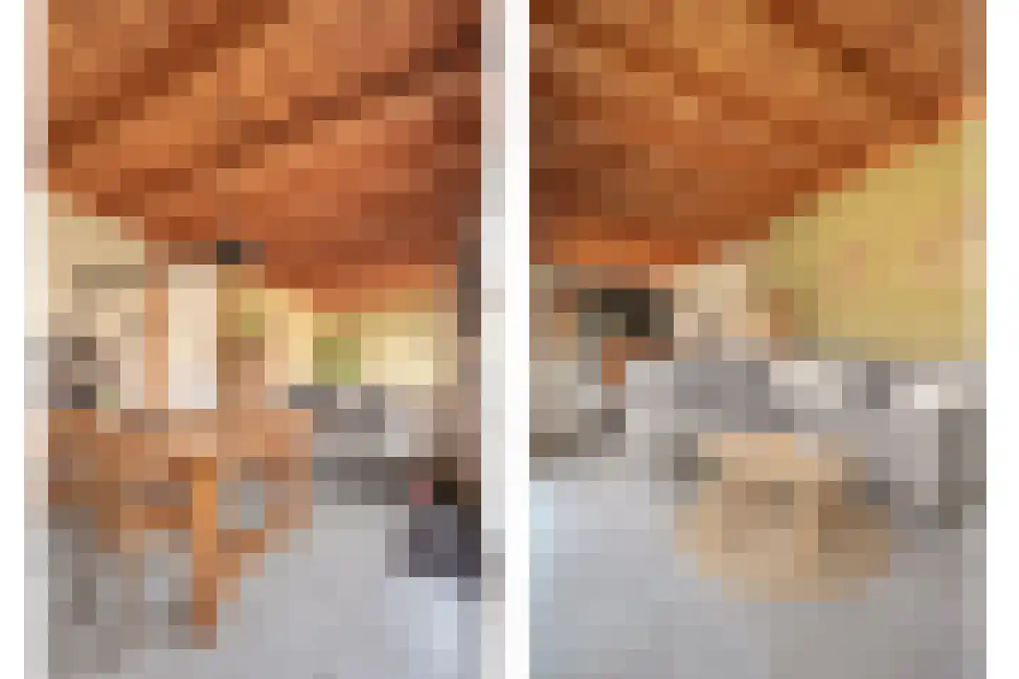 Burg.van Haersoltestraat 9 Nieuwleusen thumbnail 48