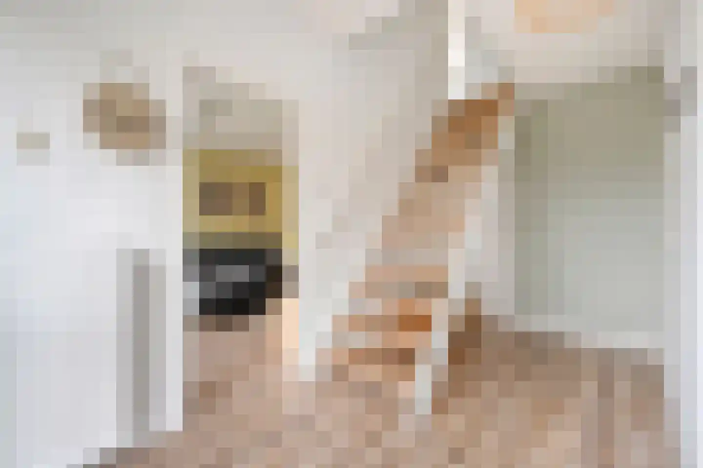 Burg.van Haersoltestraat 9 Nieuwleusen thumbnail 5