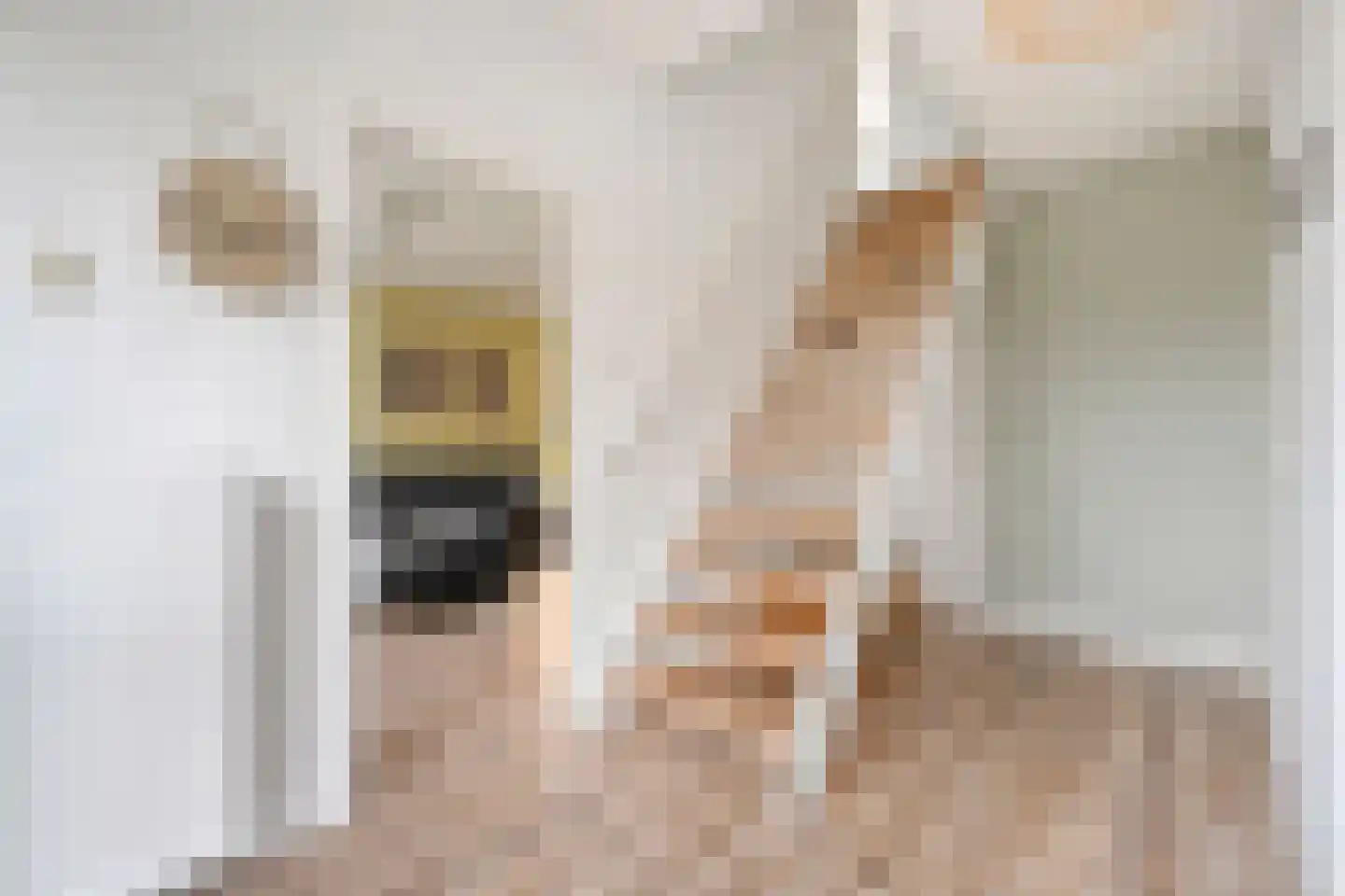 Burg.van Haersoltestraat 9 Nieuwleusen thumbnail 5
