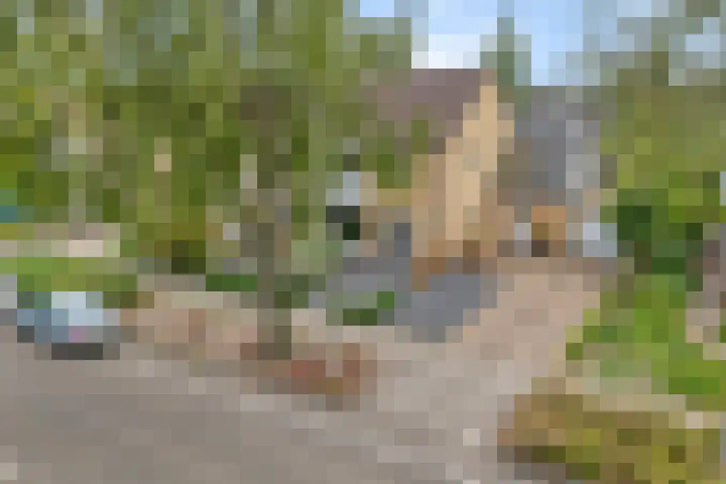 Burg.van Haersoltestraat 9 Nieuwleusen thumbnail 51