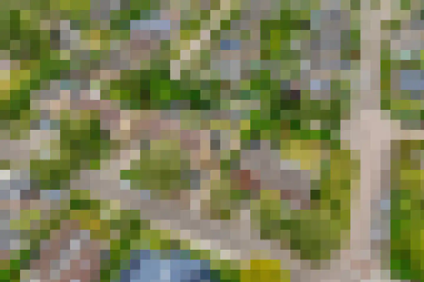 Burg.van Haersoltestraat 9 Nieuwleusen thumbnail 52