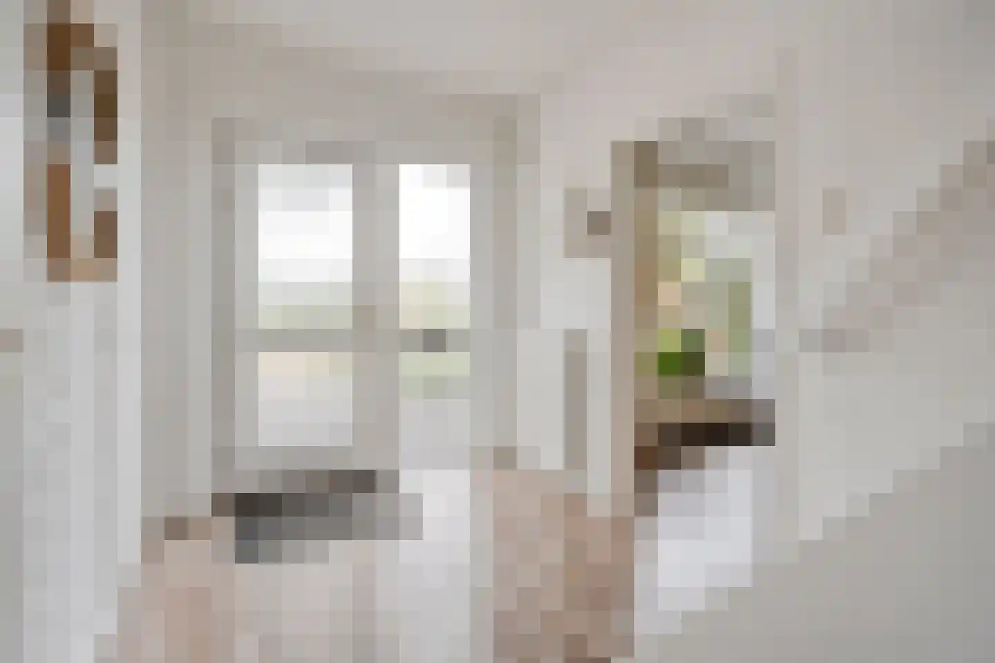 Burg.van Haersoltestraat 9 Nieuwleusen thumbnail 6