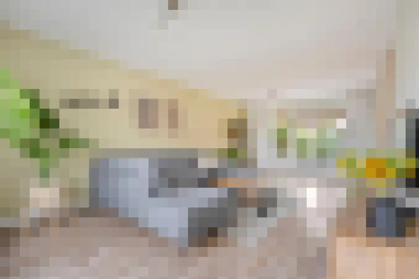 Burg.van Haersoltestraat 9 Nieuwleusen thumbnail 8