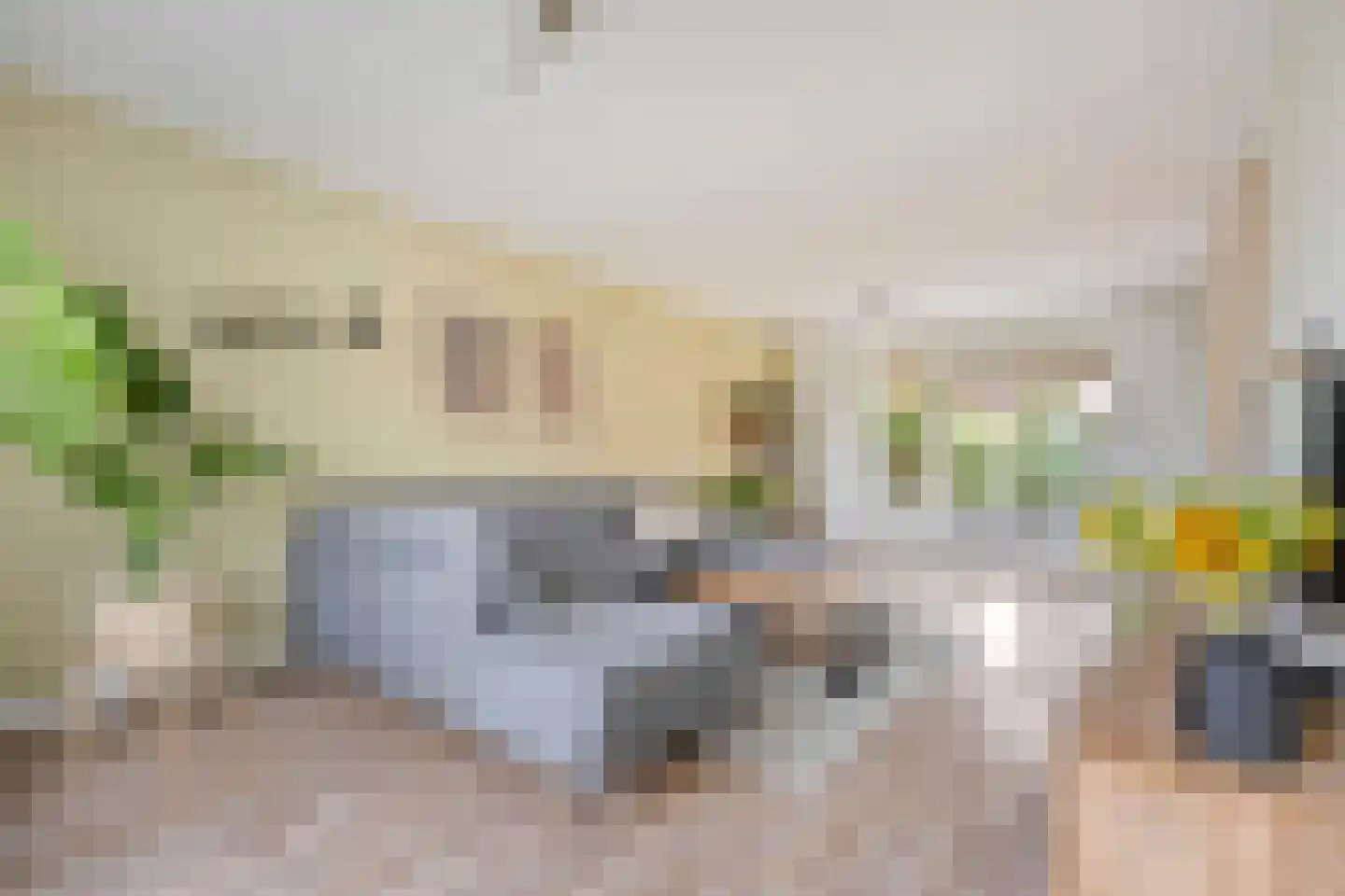 Burg.van Haersoltestraat 9 Nieuwleusen thumbnail 8