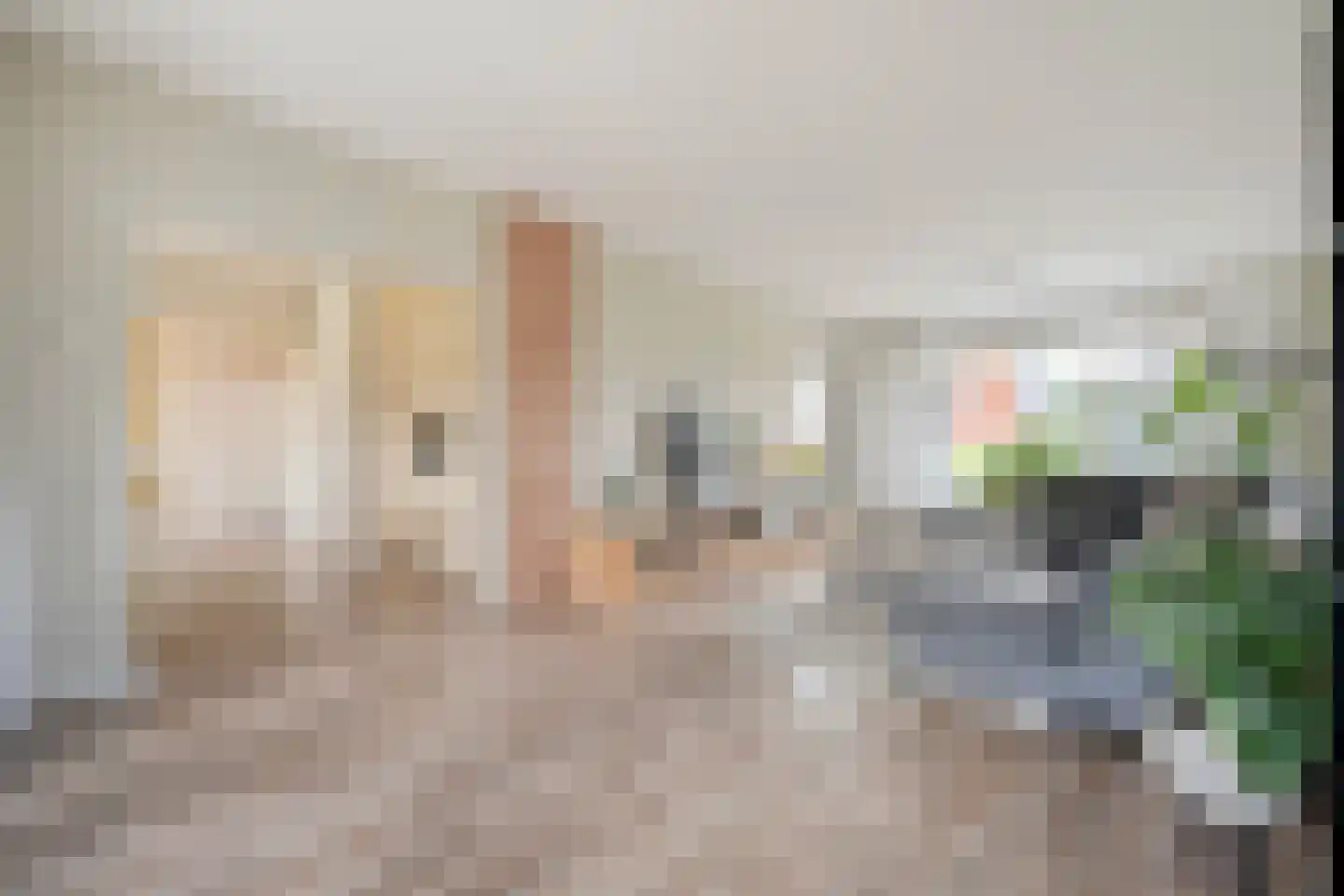 Burg.van Haersoltestraat 9 Nieuwleusen thumbnail 9