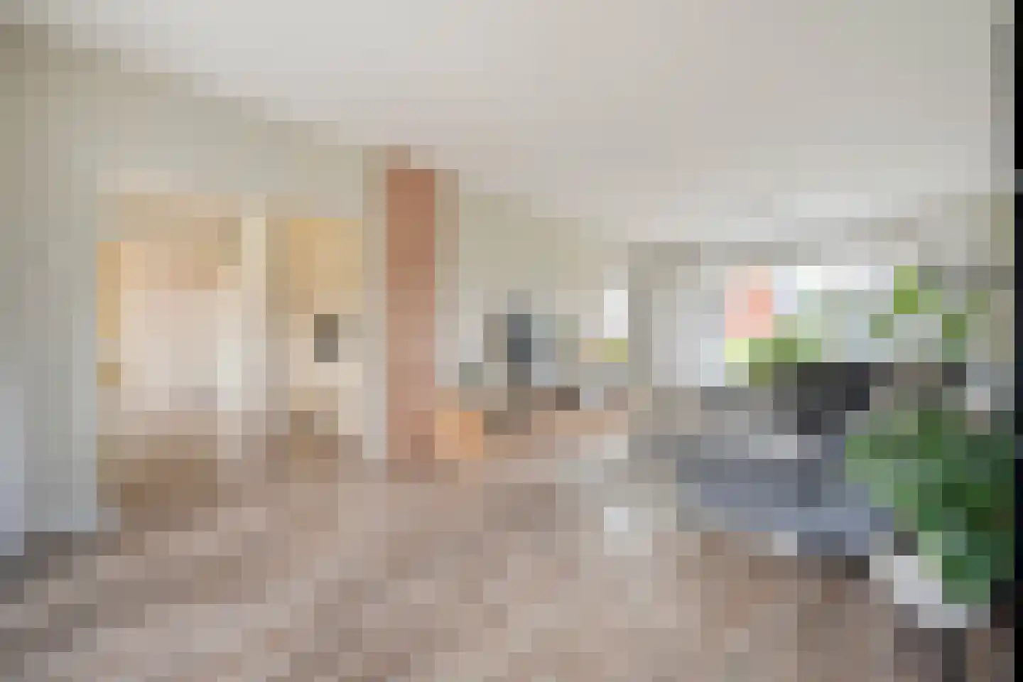 Burg.van Haersoltestraat 9 Nieuwleusen thumbnail 9