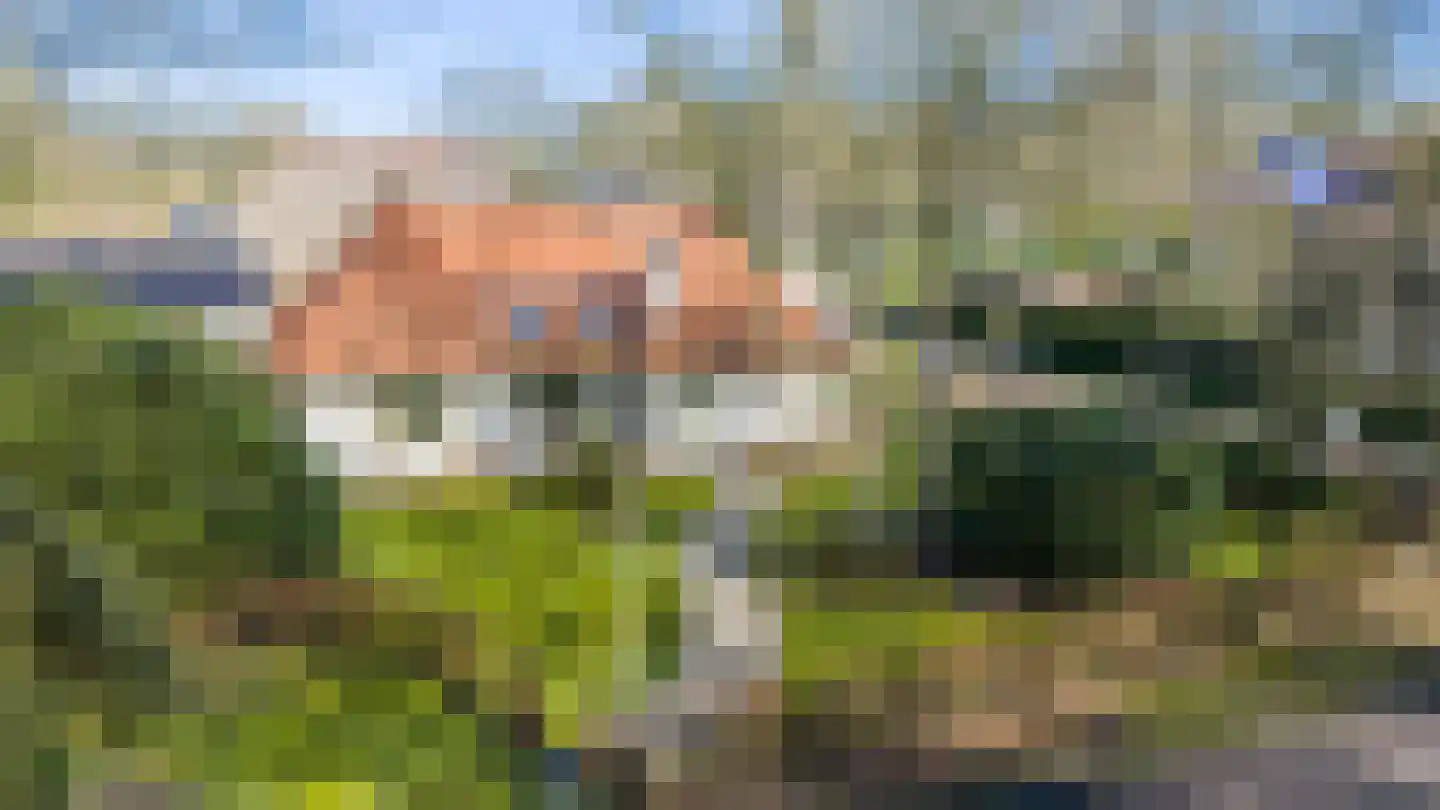 Burg van Heemstralaan 14 Hattem thumbnail 32