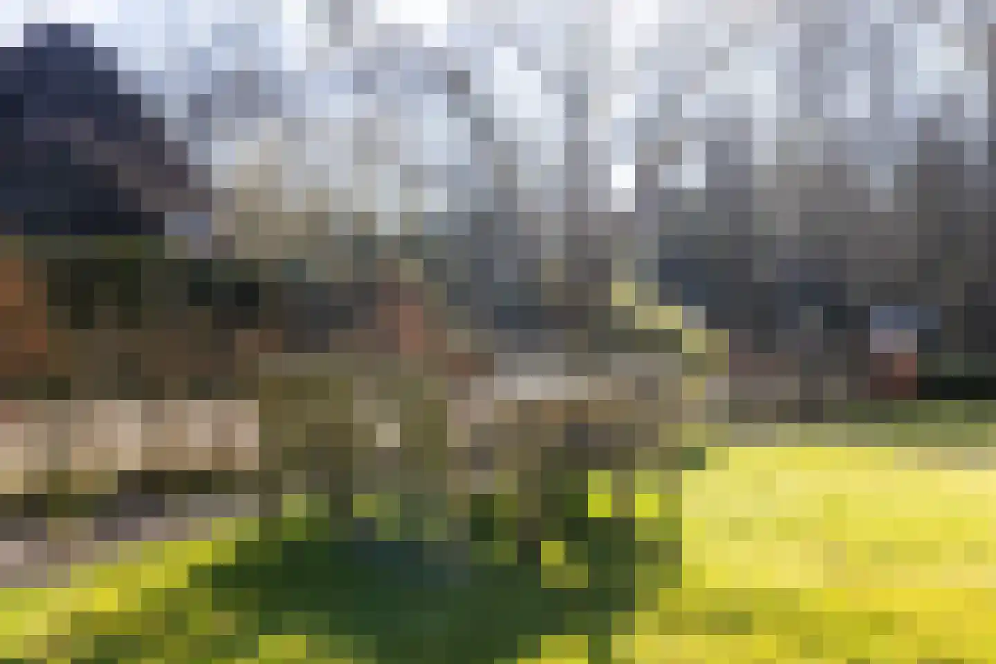 Burg van Heemstralaan 14 Hattem thumbnail 43