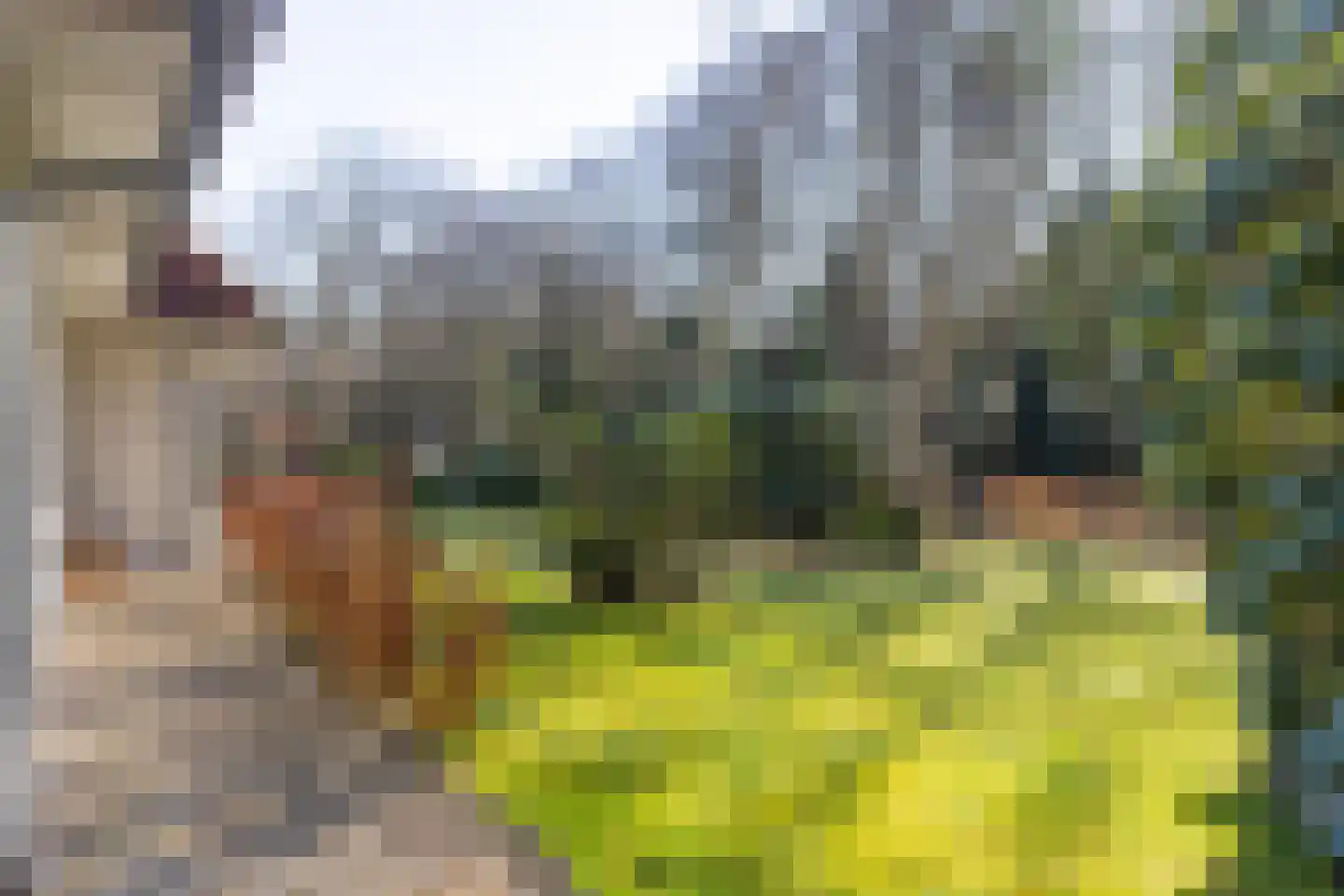Burg van Heemstralaan 14 Hattem thumbnail 44
