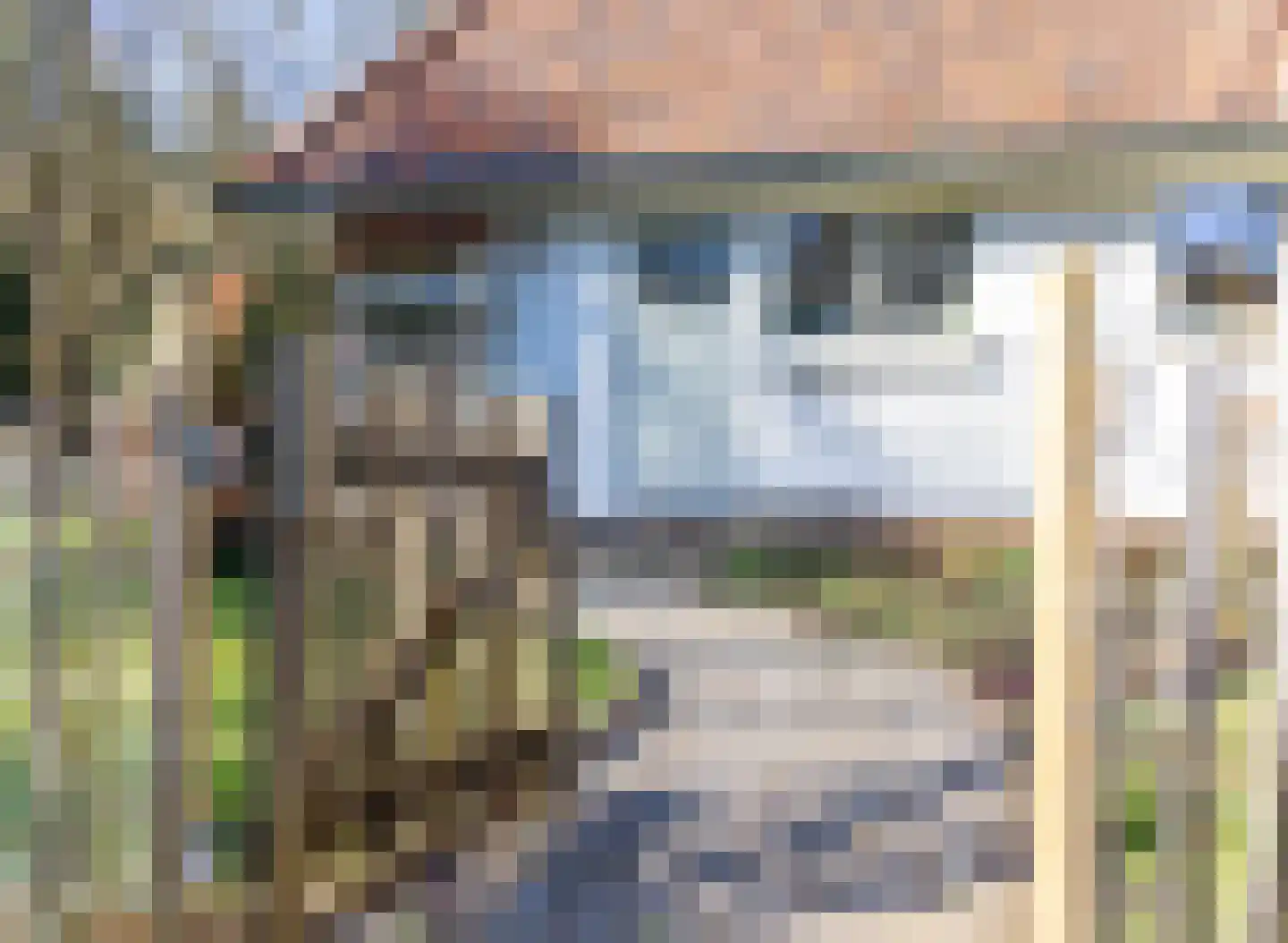 Burg van Heemstralaan 14 Hattem thumbnail 47