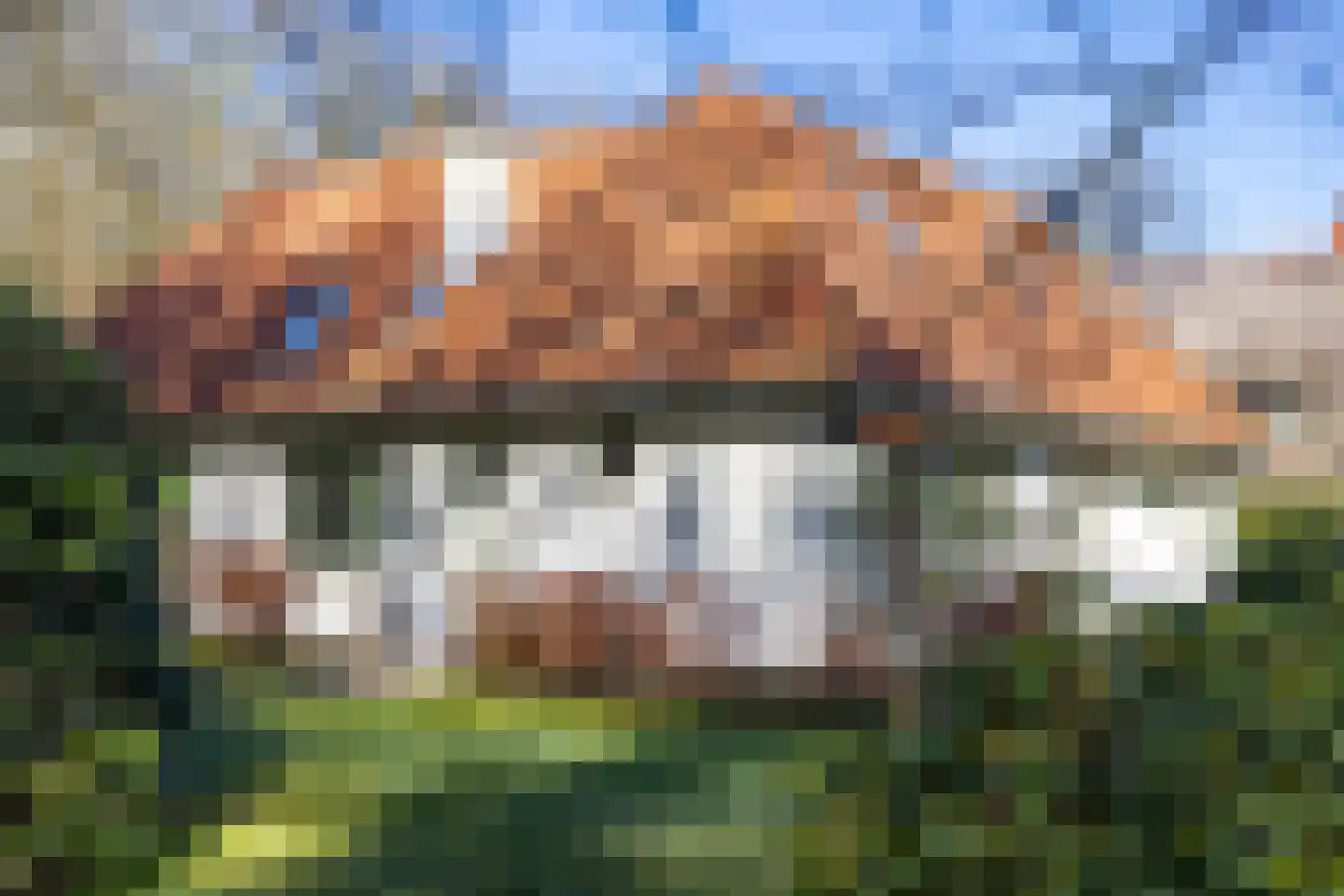 Burg van Heemstralaan 14 Hattem thumbnail 48