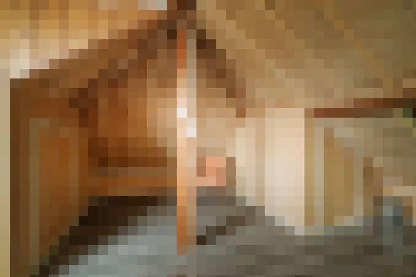 Burg. Van Heemstralaan 41 Deventer thumbnail 29