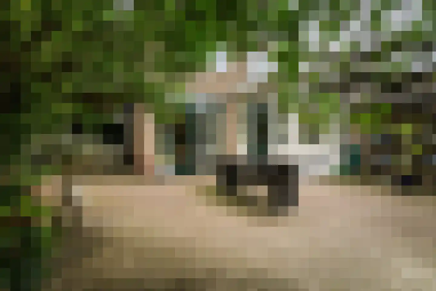 Burg. Van Heemstralaan 41 Deventer thumbnail 31