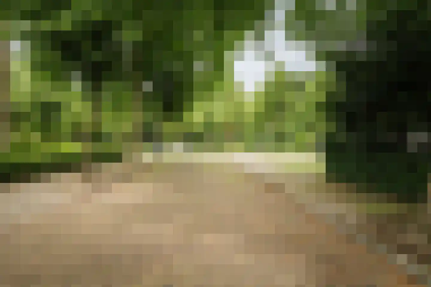 Burg. Van Heemstralaan 41 Deventer thumbnail 37