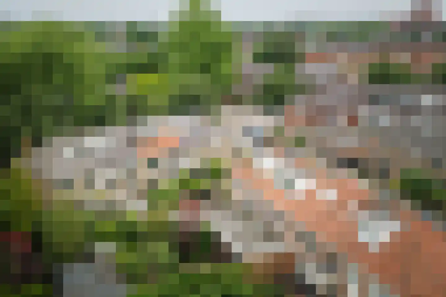 Burg. Van Heemstralaan 41 Deventer thumbnail 38