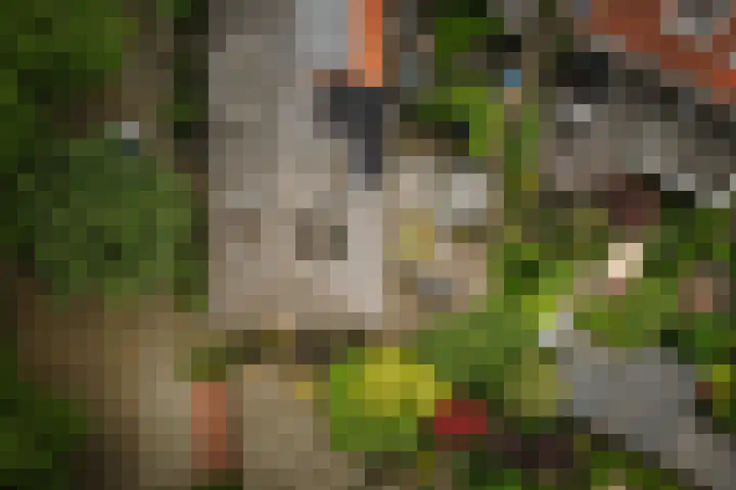 Burg. Van Heemstralaan 41 Deventer thumbnail 42