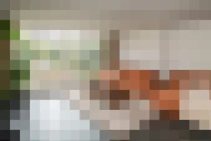 Burg Van Heugtenlaan 157 Nieuwerkerk aan den IJssel thumbnail 15