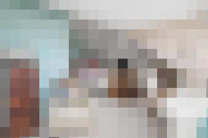 Burg Van Heugtenlaan 157 Nieuwerkerk aan den IJssel thumbnail 30
