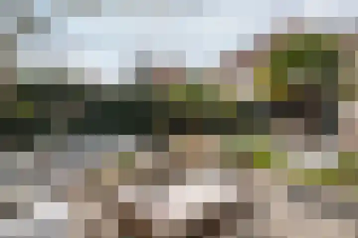Burg Van Heugtenlaan 157 Nieuwerkerk aan den IJssel thumbnail 33