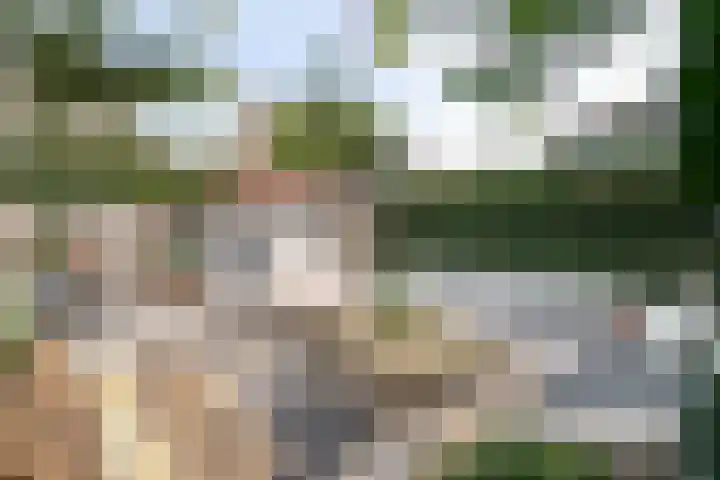 Burg Van Heugtenlaan 157 Nieuwerkerk aan den IJssel thumbnail 34