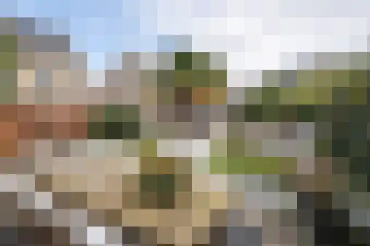 Burg Van Heugtenlaan 157 Nieuwerkerk aan den IJssel thumbnail 35