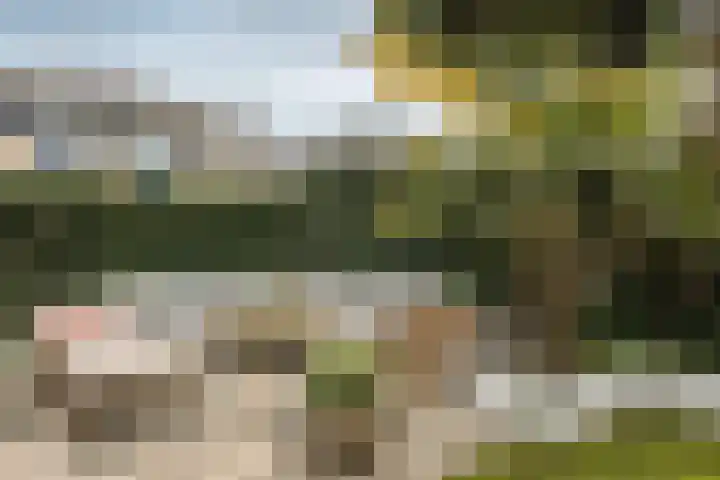 Burg Van Heugtenlaan 157 Nieuwerkerk aan den IJssel thumbnail 37