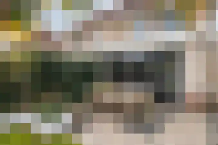Burg Van Heugtenlaan 157 Nieuwerkerk aan den IJssel thumbnail 38