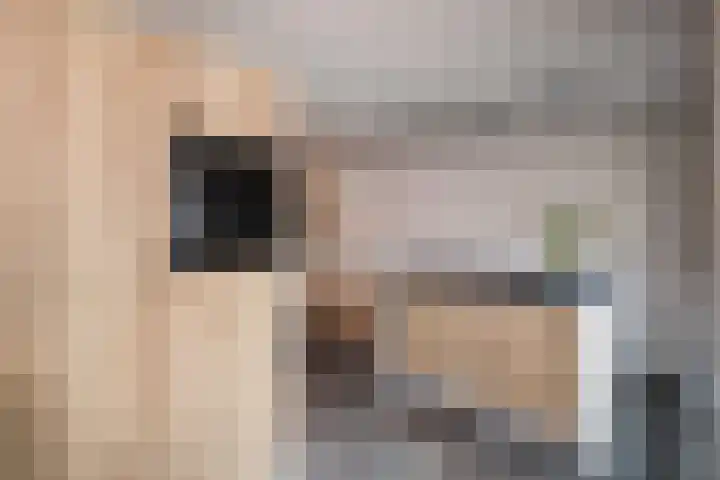 Burg Van Heugtenlaan 157 Nieuwerkerk aan den IJssel thumbnail 8